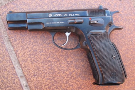 Se vende CZ 75, cal. 9 Pb, con 2 cargaddores y maletín rígido .

Arma precisa, en muy buen estado, acabado 01