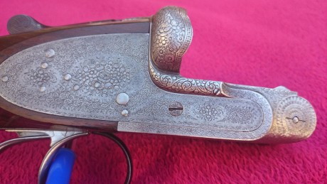 Se vende escopeta, características: 
.-68 de cañón 
.-culata inglesa 
.-apertura automática sistema purdey 02