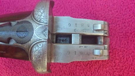 Se vende escopeta, características: 
.-68 de cañón 
.-culata inglesa 
.-apertura automática sistema purdey 01