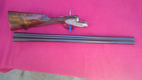 Se vende escopeta, características: 
.-68 de cañón 
.-culata inglesa 
.-apertura automática sistema purdey 00