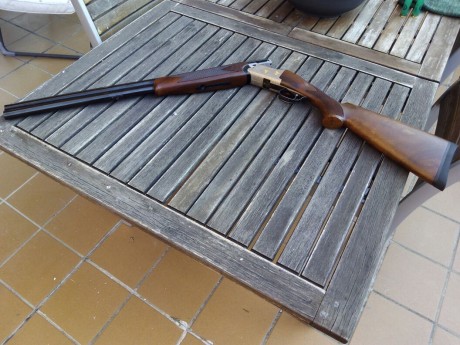 Se vende escopeta casi sin uso le cuesta cerra y poner el guardamanos de lo nueva k esta no tiene marcas 01