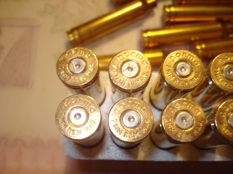 Hola,

Vendo 147 vainas del calibre 7mm. Remington Magnum de varias marcas, la inmensa mayoría tienen 00