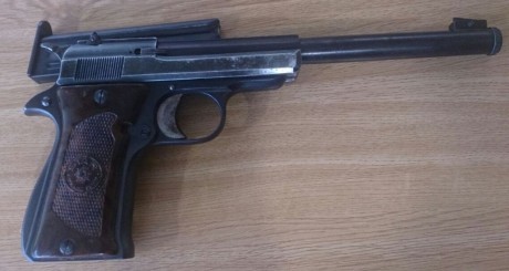 Se vende Star modelo "F" OLIMPIC cal 22 corto, tiene un solo cargador y está guiada en "A"
Se 01
