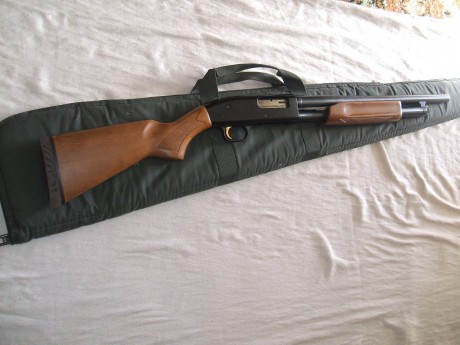 Hola, un amigo vende su benelli . El motivo es por retiro, así que no está interesado en cambios. Solo 01