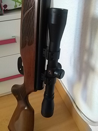 VENDO LOTE DE CARABINA Y PISTOLA DEL 4.5 EN PERFECTAS CONDICIONES. COMO NUEVAS
CARABINA NORICA STORM 4,5 00