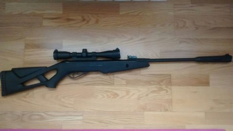 Se vende Gamo Whisper IGT calibre 4.5.

Ideal para empezar, tiene poco uso y está muy cuidada, como podéis 01