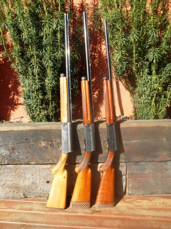 Estoy buscando para mi colección una escopeta Browning Auto 5 del calibre 16/70. "Sweet Sixteen"

Un 121