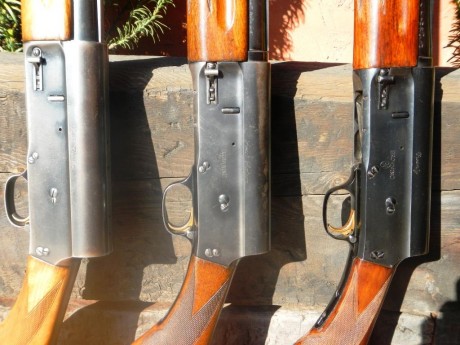 Estoy buscando para mi colección una escopeta Browning Auto 5 del calibre 16/70. "Sweet Sixteen"

Un 120