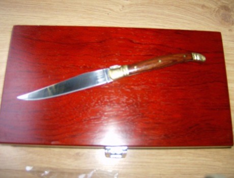 Buenos días.

 Vendo en Madrid, Estuche de 6 Cuchillos Chuleteros  estilo Laguiole.

Nuevos, sin estrenar.

Caja 11