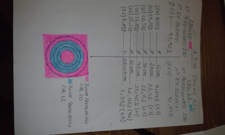 Se han usado tres escopetas, las 3 paralelas. Para las distancias de 8 y 15m, con cañones cilindricos, 01