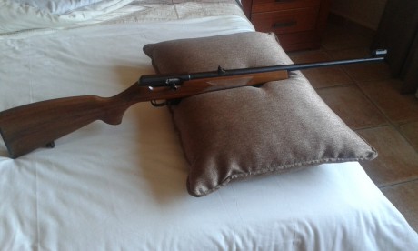 Muy a pesar mio Vendo BRNO 511 del 22 Semiautomatica.....200 euros, muy poco uso, el arma esta en Malaga, 01