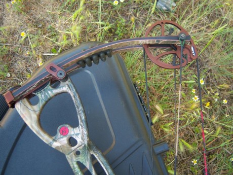 Hola a tod@s,
vendo mí Hoyt rampage XT, es de 50 a 60 libras y ahora mismo está a una apertura de 27 aúnque 01