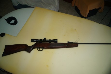 Vendo carabina Nórica modelo Marvick Gold del 4,5. Todo potencia y precisión. incluye visor gamo 4x32, 02