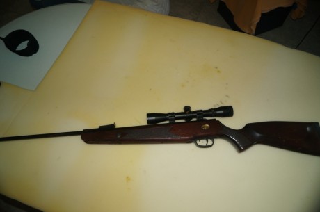 Vendo carabina Nórica modelo Marvick Gold del 4,5. Todo potencia y precisión. incluye visor gamo 4x32, 01