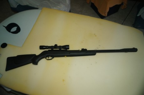 Vendo carabina Gamo módelo CFX del 5,5. Con cañón fijo, excelente precisión. La carabina está nueva no 02