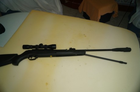 Vendo carabina Gamo módelo CFX del 5,5. Con cañón fijo, excelente precisión. La carabina está nueva no 01