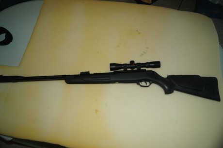 Vendo carabina Gamo módelo CFX del 5,5. Con cañón fijo, excelente precisión. La carabina está nueva no 00