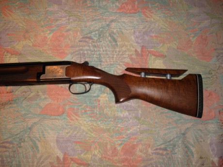 VENDIDA SE PUEDE CERRAR GRACIAS


Vendo escopeta Laurona modelo Derby con 71 cm de cañon, 5 choques intercambiables, 02