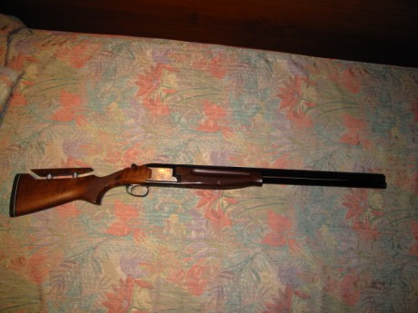 VENDIDA SE PUEDE CERRAR GRACIAS


Vendo escopeta Laurona modelo Derby con 71 cm de cañon, 5 choques intercambiables, 01