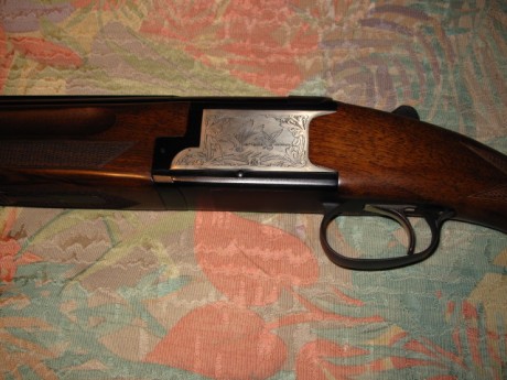 VENDIDA SE PUEDE CERRAR GRACIAS


Vendo escopeta Laurona modelo Derby con 71 cm de cañon, 5 choques intercambiables, 12