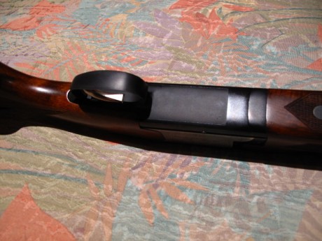 VENDIDA SE PUEDE CERRAR GRACIAS


Vendo escopeta Laurona modelo Derby con 71 cm de cañon, 5 choques intercambiables, 11