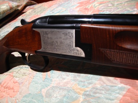 VENDIDA SE PUEDE CERRAR GRACIAS


Vendo escopeta Laurona modelo Derby con 71 cm de cañon, 5 choques intercambiables, 10
