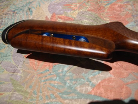 VENDIDA SE PUEDE CERRAR GRACIAS


Vendo escopeta Laurona modelo Derby con 71 cm de cañon, 5 choques intercambiables, 20