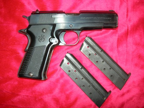 Vendo Pistola marca LLAMA modelo XI del calibre 9mmP con dos Cargadores.
Está guiada en F.
Puro acero 00