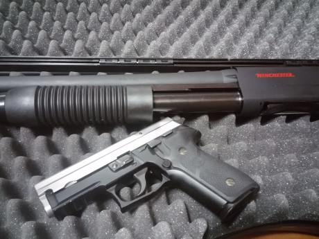 Pues eso, estás son mis niñas, la Winchester adquirida recientemente y la joya de la corona, la Sig Sauer, 01