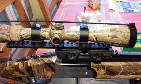 Se vende este visor Nikon de 3-9 x 44  en perfecto estado con unas monturas ARMS de quita y pon.  Apto 02