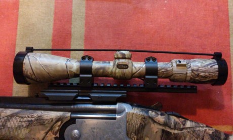 Se vende este visor Nikon de 3-9 x 44  en perfecto estado con unas monturas ARMS de quita y pon.  Apto 00
