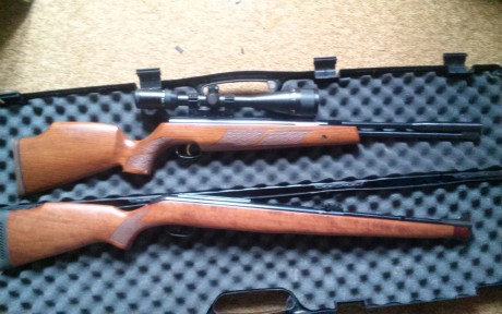 Vendo hw97 a 16j y gamo stutzen.
4,5 ambas.
La hw impecable, muy cuidada.
La stutzen nueva nueva, sin 01