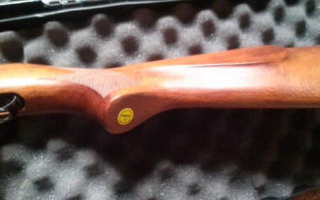 Vendo hw97 a 16j y gamo stutzen.
4,5 ambas.
La hw impecable, muy cuidada.
La stutzen nueva nueva, sin 11