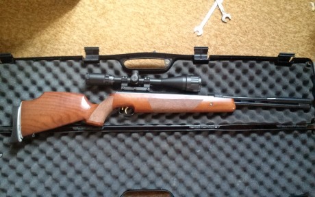 Vendo hw97 a 16j y gamo stutzen.
4,5 ambas.
La hw impecable, muy cuidada.
La stutzen nueva nueva, sin 51