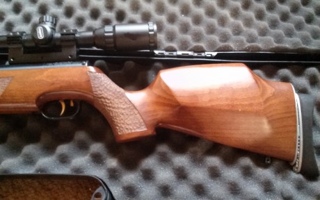 Vendo hw97 a 16j y gamo stutzen.
4,5 ambas.
La hw impecable, muy cuidada.
La stutzen nueva nueva, sin 50