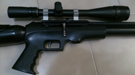Un amigo me a dicho que le ponga su carabina aquí se trata de una fx gladiator puesta a punto cambiadas 12