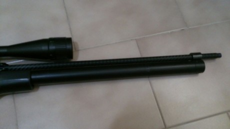 Un amigo me a dicho que le ponga su carabina aquí se trata de una fx gladiator puesta a punto cambiadas 11