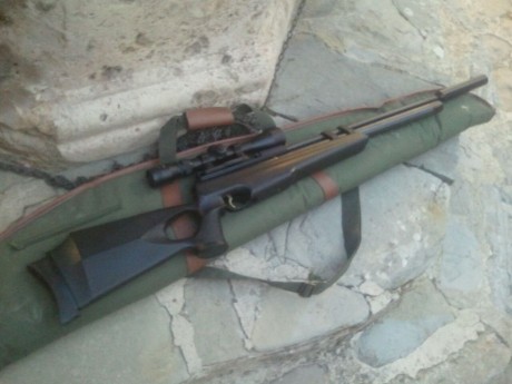 Hatsan at44 long grizly cal.25 6'35. Monotiro, cañon lothar whalter, regulador lobo, silenciador hatsan 01