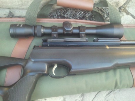 Hatsan at44 long grizly cal.25 6'35. Monotiro, cañon lothar whalter, regulador lobo, silenciador hatsan 10