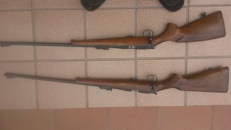 Hola vendo dos carabinas Brno 2 en buen estado y con la precision tipica de este modelo 
Las vendo por 02