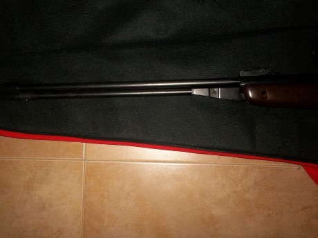 vendo carabina gamo cf20  cal 4.5 impoluta ecepto por unas marcas que tiene en la culata,solo ha tenido 02