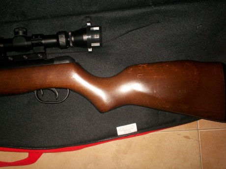 vendo carabina gamo cf20  cal 4.5 impoluta ecepto por unas marcas que tiene en la culata,solo ha tenido 01