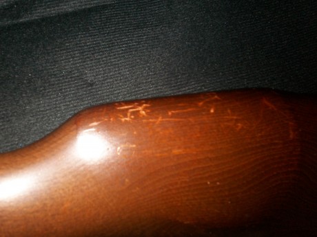 vendo carabina gamo cf20  cal 4.5 impoluta ecepto por unas marcas que tiene en la culata,solo ha tenido 00