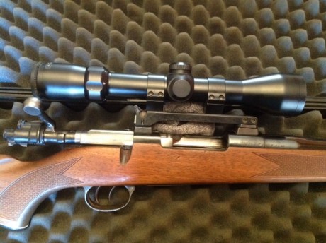 Buenos días.

Busco rifle, a ser posible semiautomático...en su defecto de cerrojo.
Visto que en 270 es 50