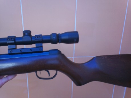vendo carabina gamo cf20  cal 4.5 impoluta ecepto por unas marcas que tiene en la culata,solo ha tenido 12