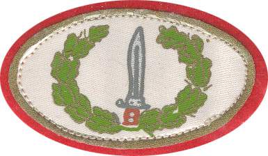 Busco antiguos integrantes del  GOE1  Ordenes militares, Especialmente a los chicos de la  13  80