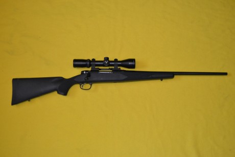 Se vende rifle marlin x7 cal. 308 Win. con carril weaver, monturas warner y visor BUSHNELL TROPHY XLT 00