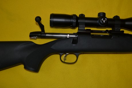 Se vende rifle marlin x7 cal. 308 Win. con carril weaver, monturas warner y visor BUSHNELL TROPHY XLT 11
