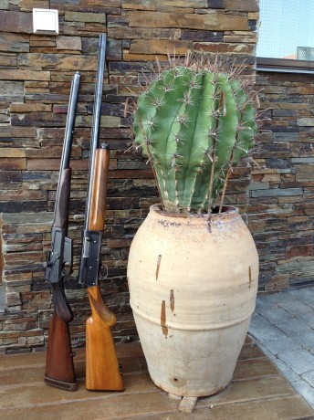 Buenas noches:

Gracias a Josep Sierra pude comprar este Remington 81: se trata de la mejora del Remington 100