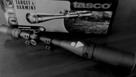     RESERVADO    

    Vendo visor Tasco Target Varmint Dot 10-40x50mm     en perfecto estado de funcionamiento.
.Lentes 00